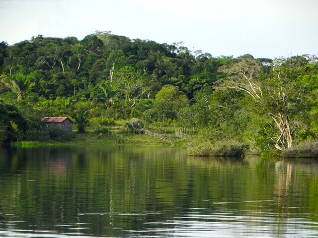 Amazon River